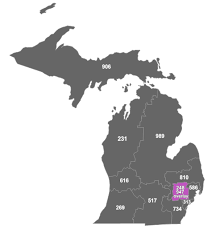 The 248 Area Code: Deep Dive into  Communication Identifier