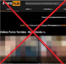 "Exploring the Evolution of LGBTQ+ Content on Pornhub"